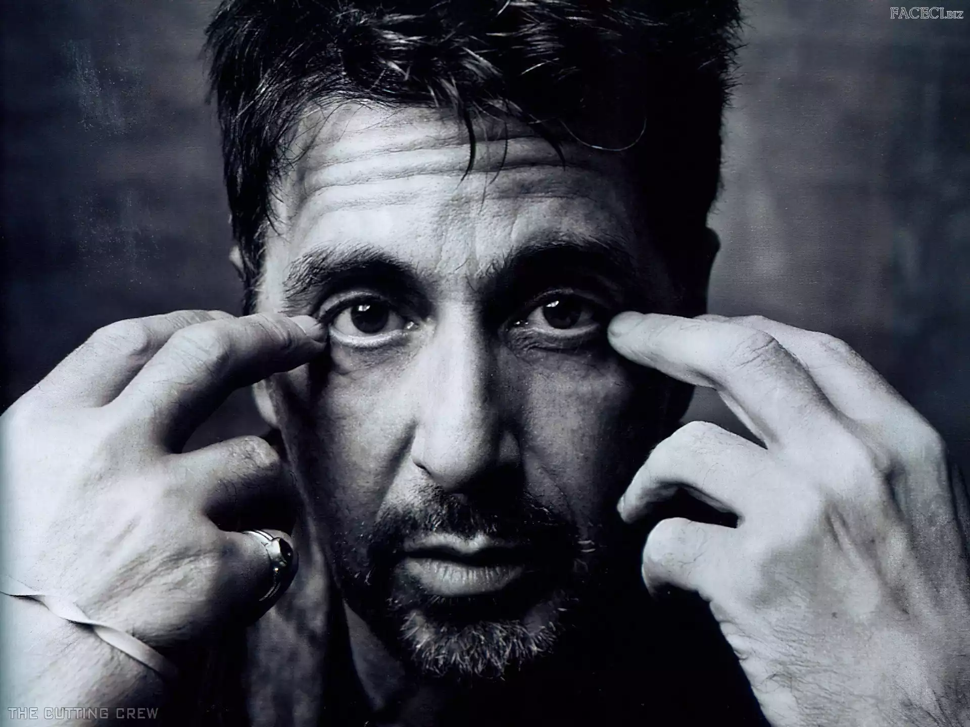 sygnet, Al Pacino, ręce